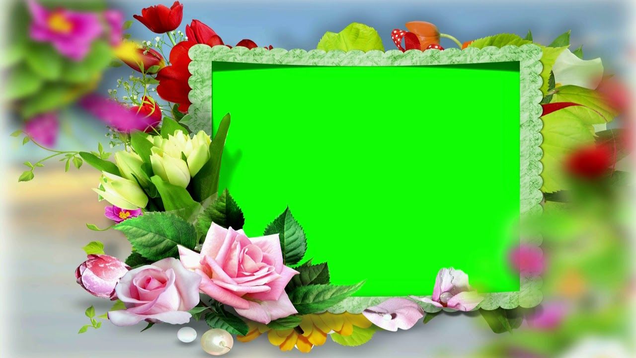 chroma key download for free